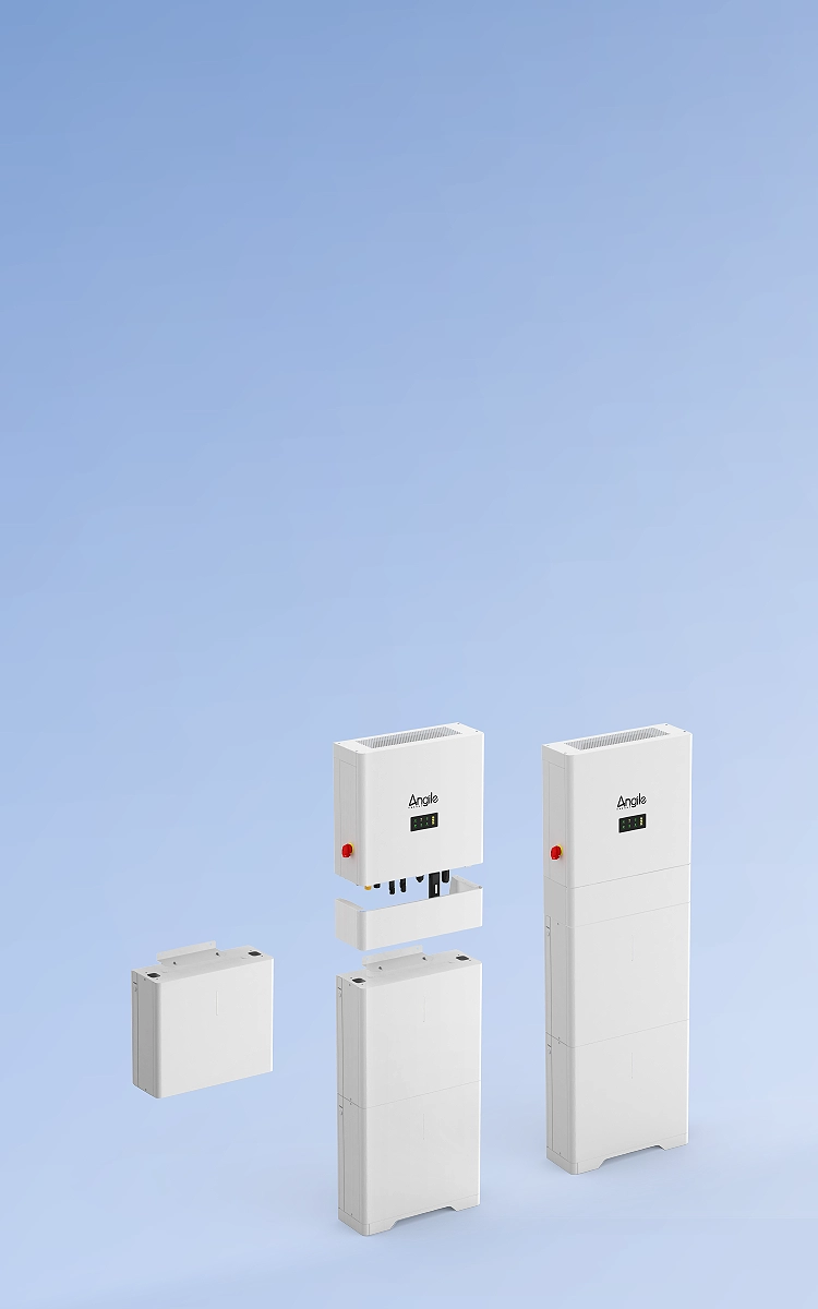 Installazione distribuita
