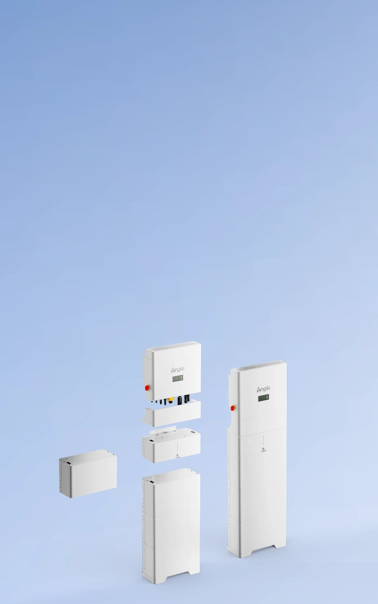 Installazione distribuita